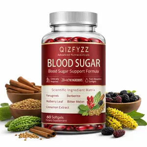 QIZFYZZ Blood Sugar Balance Complex | Bitter Melon + Berberine + Cinnamon + Mulberry Leaf + Turmeric + Fenugreek | Promotes blood sugar management, supports metabolism and provides antioxidant benefits | 60 softgels
