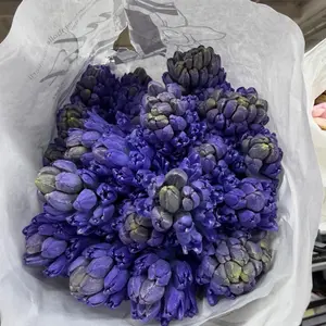 Choose Fresh Flowers During Our Live! $150 Box