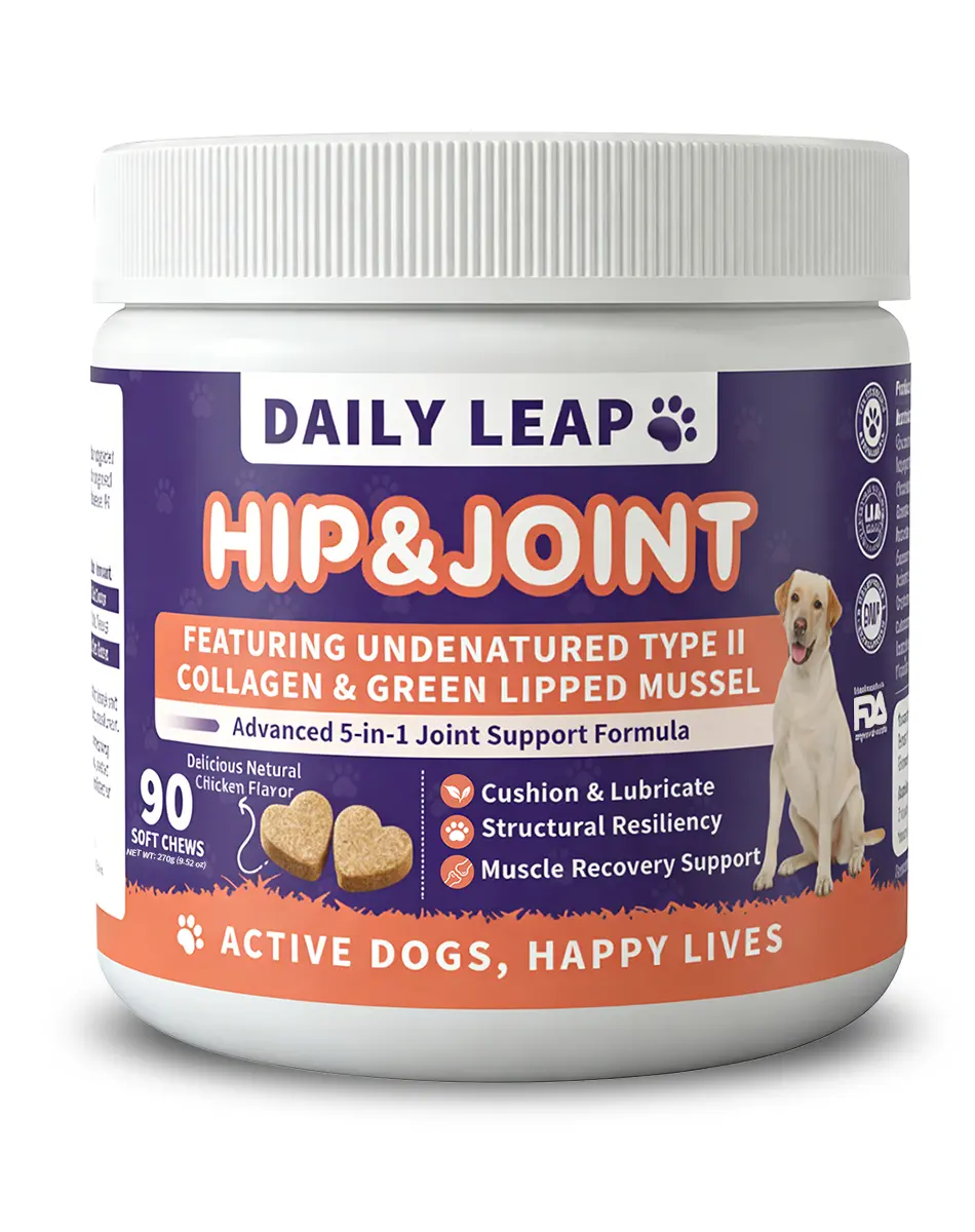 DailyLeap Hip & Joint Mobility Bites for Dogs - Natural Joint Health Supplement with Green-Lipped Mussel, Undenatured Type II Collagen, MSM, Glucosamine, Chondroitin Sulfate, Omega-3 & Curcumin - Supports Joint Health, dog vitamins，90 Soft Chews