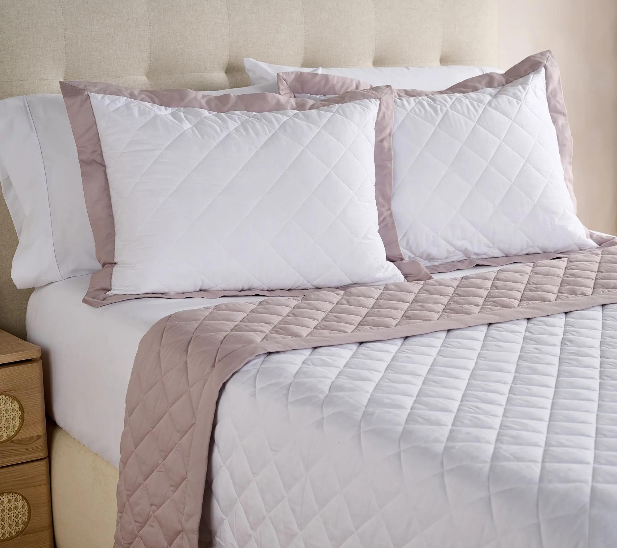 W by Wamsutta Reversible Down Alt Blanket & Sham Set- Twin