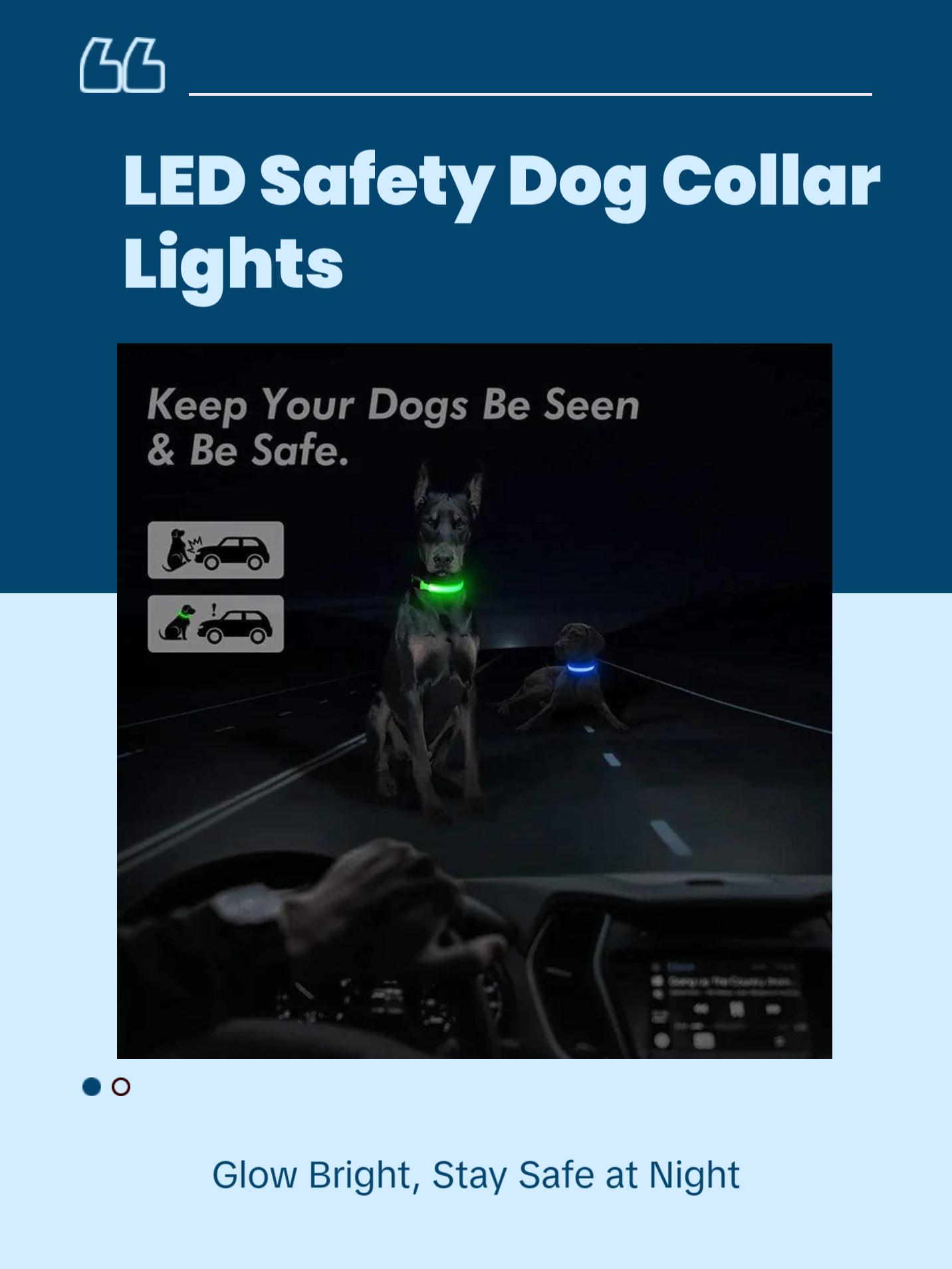 LED Adjustable Dog Collar Blinking Flashing Light Up Glow Pets Safety Waterproof