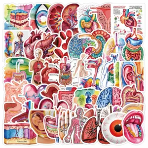 50 Cartoon Human Organ Stickers