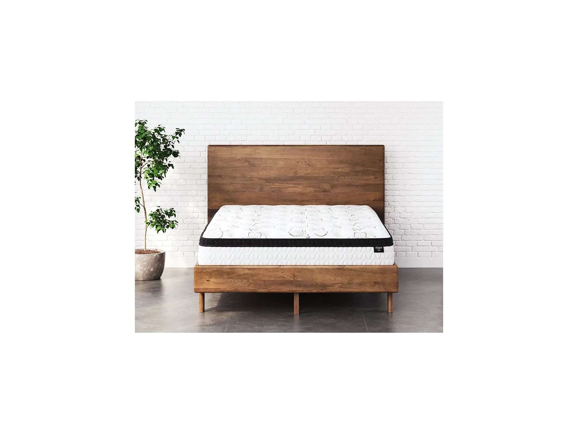Chime 12 Inch Plush Hybrid Mattress
