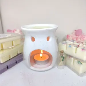 wax warmer set
