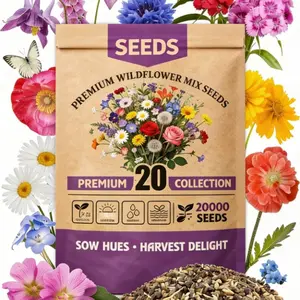 Seed Partial Shade Wildflower Seeds - 20000 Particle, Open-Pollinated Wild flower Seed Mix, No Fillers, Annual, Perennial Wild flower Seeds for Planting Year Round