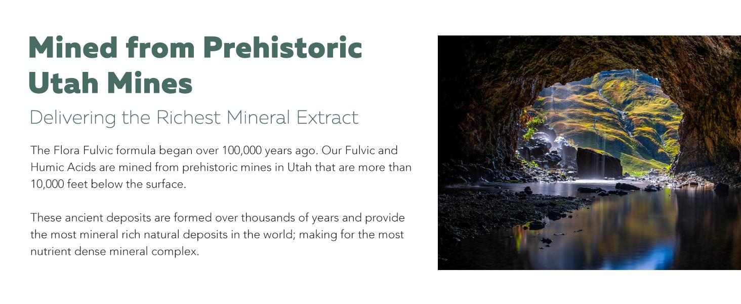 Flora Fulvic | Natural Trace Mineral Complex with Fulvic Acid & Humic Acid – 550 mg, Mined in Utah, Supports Gut Health & Digestion – 8 fl oz