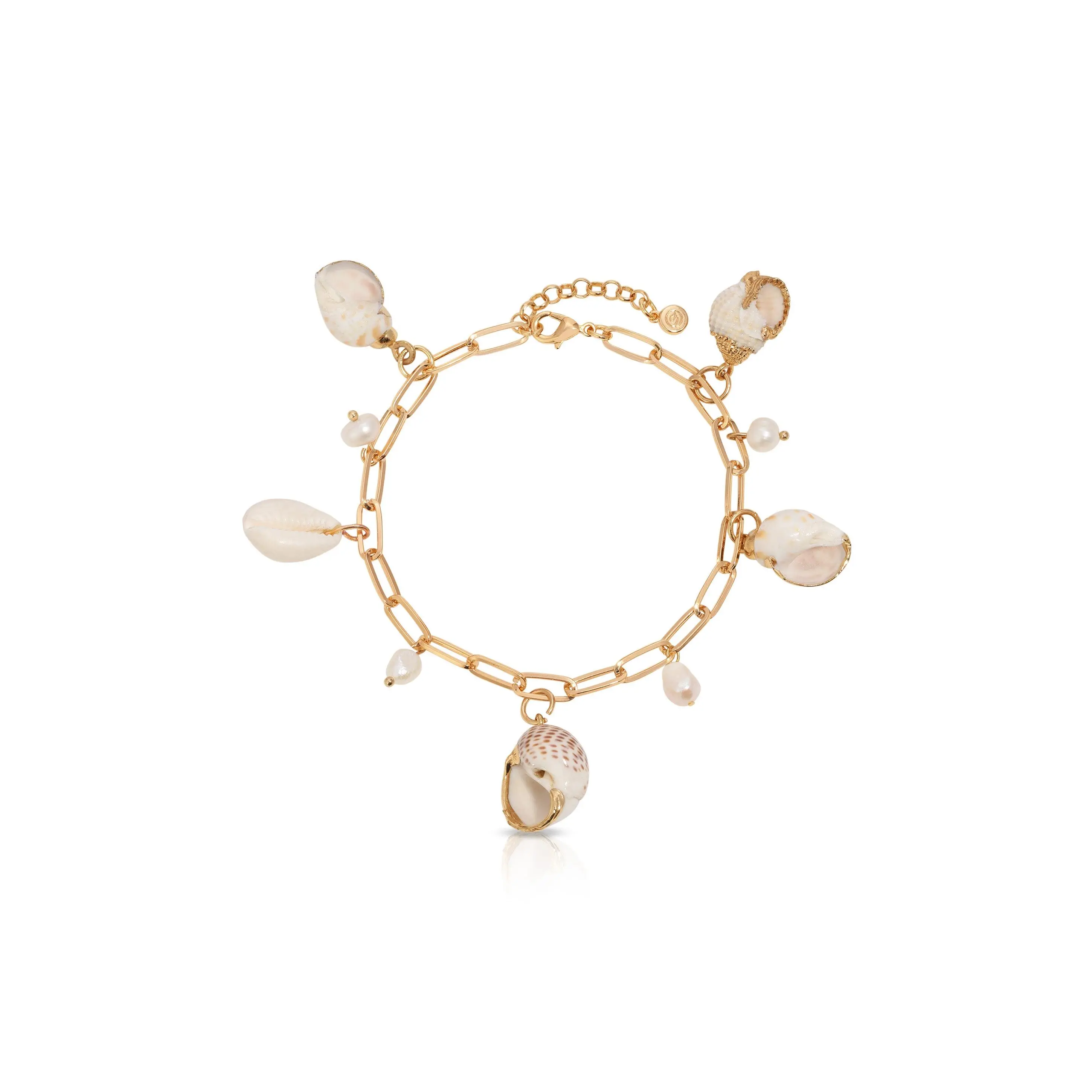 Paperclip Chain Multi-Shell Charm Anklet