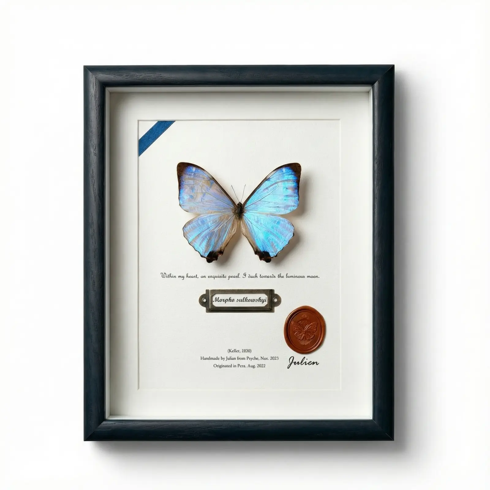 Real Framed Butterfly - Preserved Morpho sulkowskyi (Pearl Morpho) - Iridescent Mother of Pearl Shadow Box - Ethereal Wall Art & Handmade Gift for Her