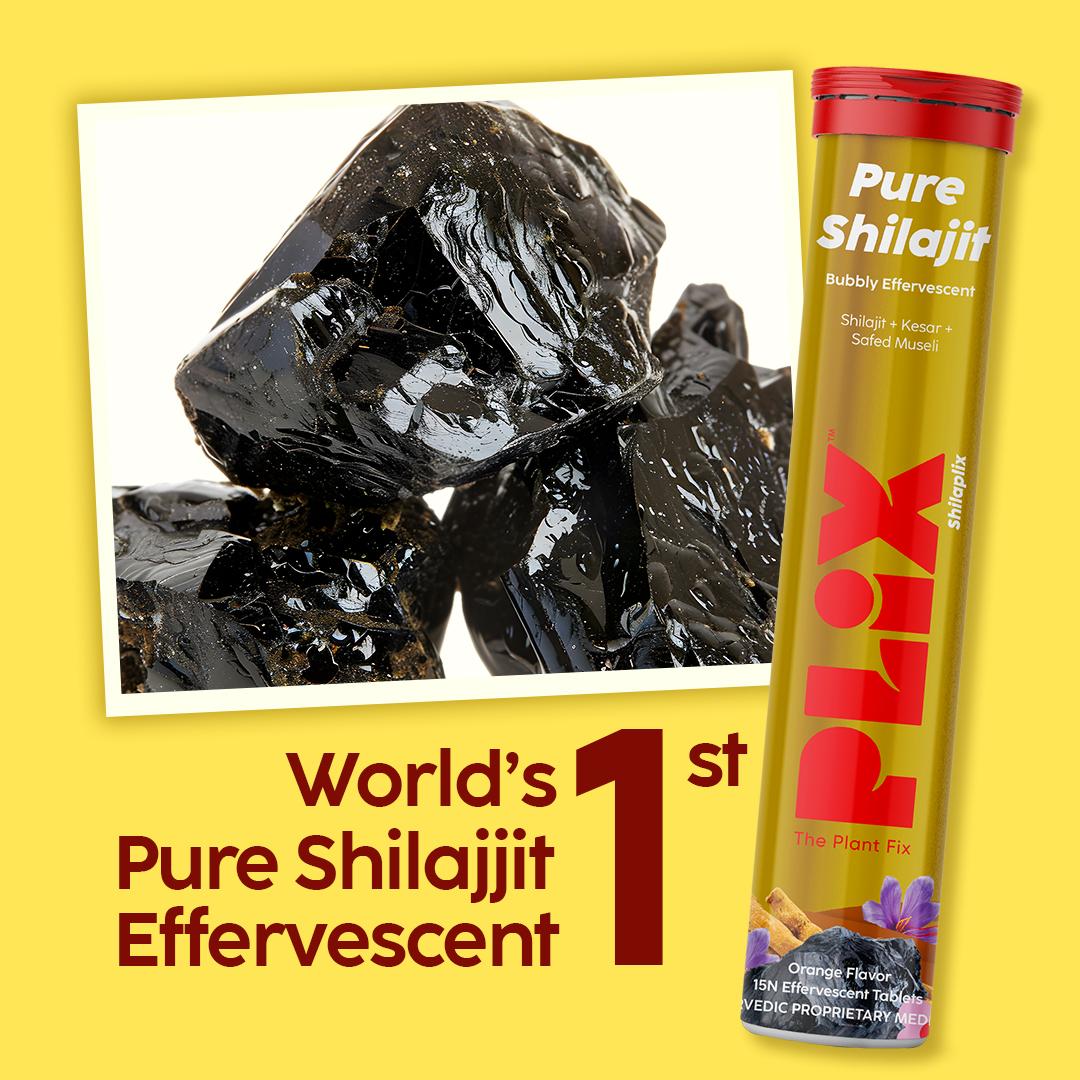 PLIX - THE PLANT FIX, Shilajit Effervescent Tablets, 500mg per 2 Tablets, For Vitality & Stamina, Orange Flavored, 15 Tablets (Pack of 1)
