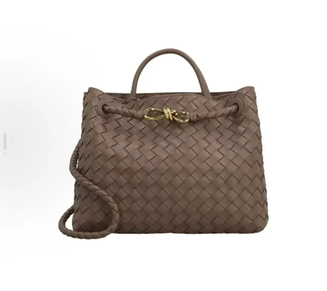 Pre-owned BOTTEGA VENETA Andiamo Lambskin Handbag