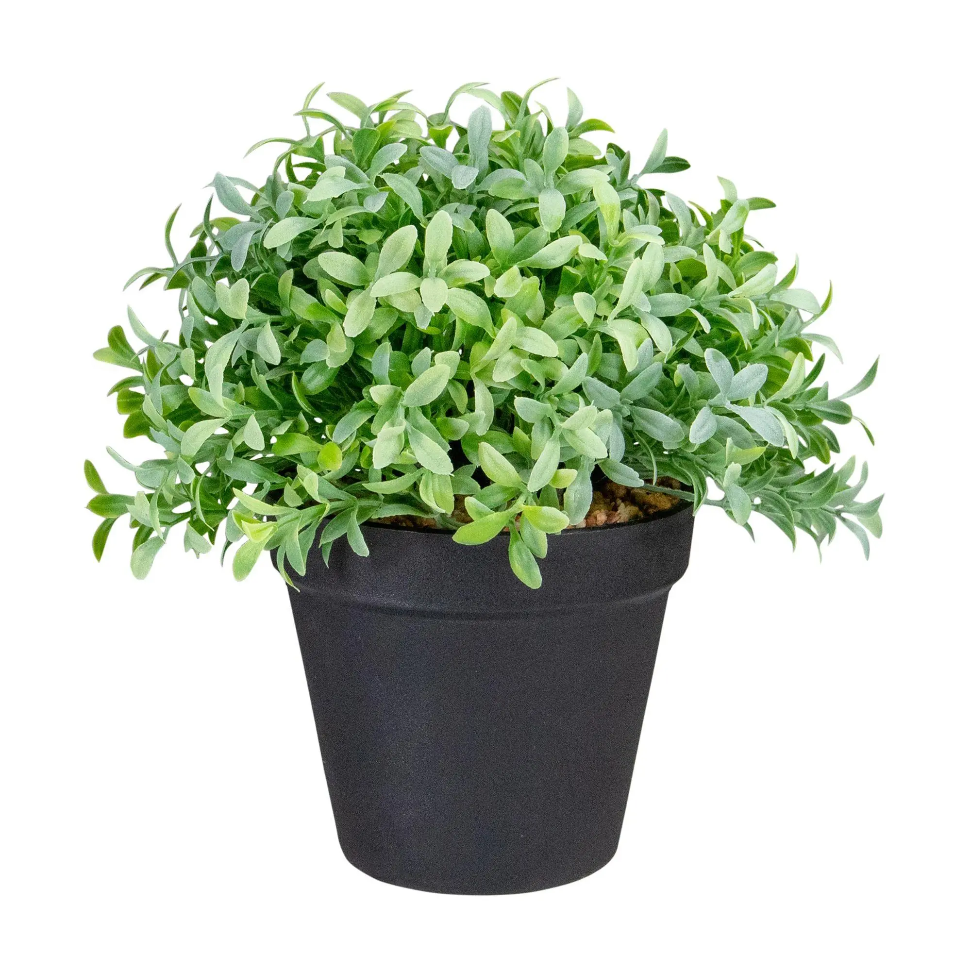 Northlight 7.5" Potted Green Artificial BoxwoodPlant