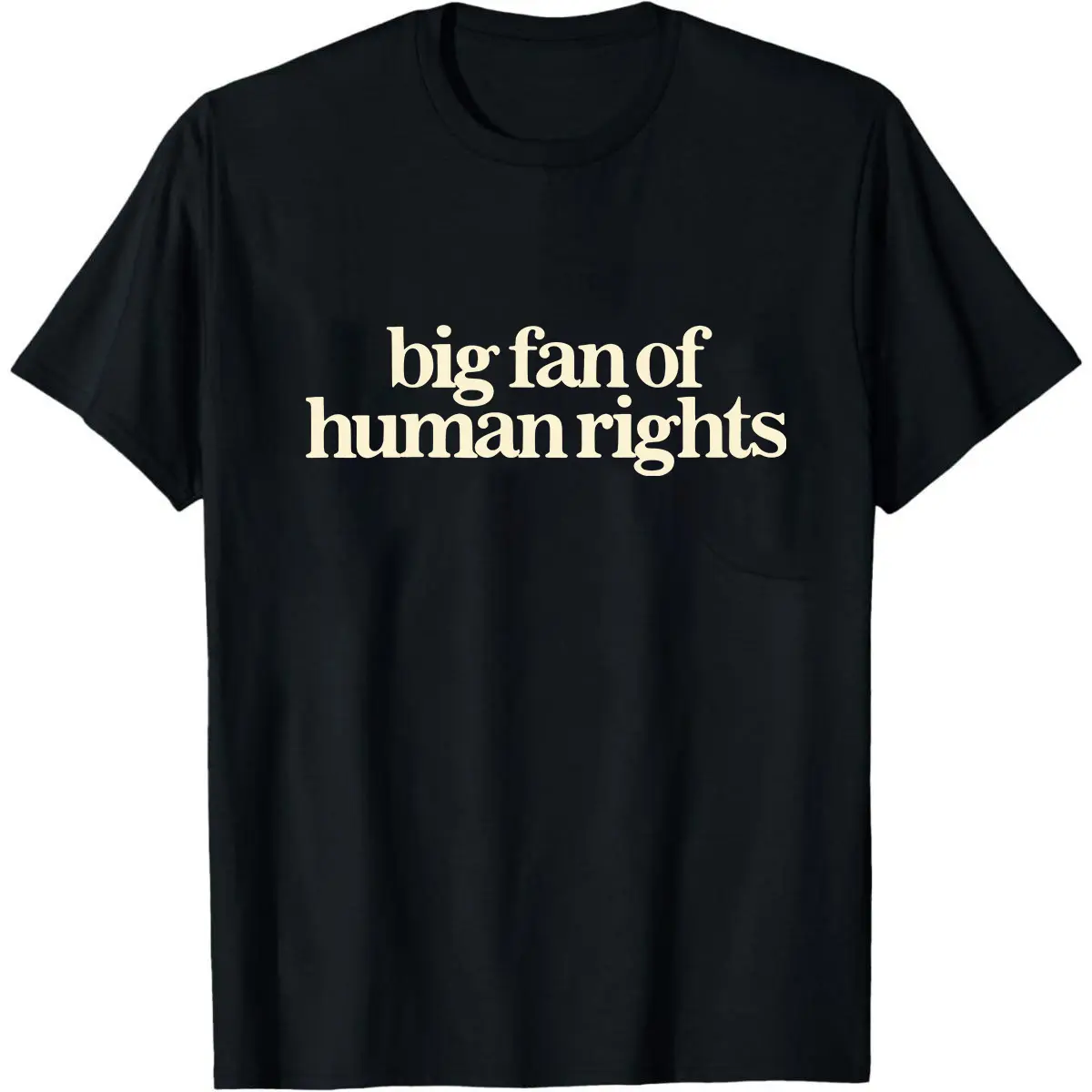 Big Fan of Human Rights Minimalist Tee, No Human is Illegal T-Shirt, Radicalized by Decency Retro Graphic Tee for Empathy