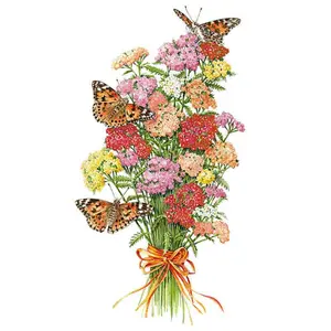 Colorado Blend Yarrow Seeds