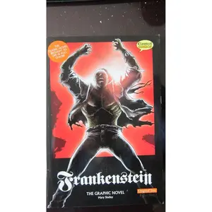 Frankenstein The Graphic Novel: Original Text (Classical Comics) Paperback – Illustrated, January 6, 2009