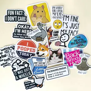 130PCS Meme Funny Saying Sticker Pack Snarky Sarcastic Bold Humor Waterproof Stickers for Laptop iPad Folding Chair