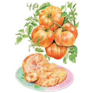 Pineapple Pole Tomato Seeds
