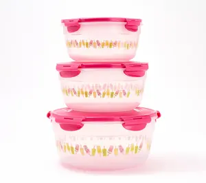 LocknLock 3 Piece Popsicle Food Storage Container Set BPA Free Leakproof Nesting Pantry Canisters