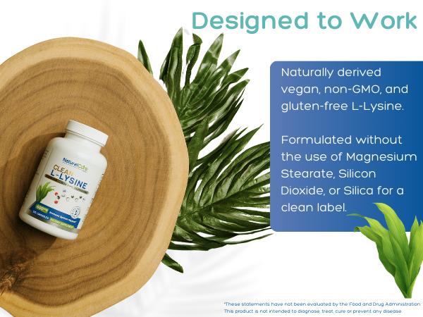 Clean L-Lysine 600mg – Supports Immune Function, Muscle Health & Recovery - 120 Capsules