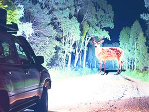 Nilight Headlight and Taillight Assembly Combo Compatible with 1999 2000 2001 2002 Chevy Silverado 1500 2500 2001 2002 Chevy Silverado 1500HD 2500HD 3500 OE Style Chrome Housing Amber Reflector Smoke Car Accessories Bulbs Nilight Headlight and Taillight Assembly Combo Compatible with 1999 2000 2001 2002 Chevy Silverado 1500 2500 2001 2002 Chevy Silverado 1500HD 2500HD 3500 OE Style Chrome Housing Amber Reflector Smoke Car Accessories Bulbs