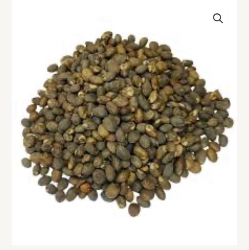 Safeleve Deboure  Cleanser Seed - Natural Dried Seed (15 seeds) 15 green