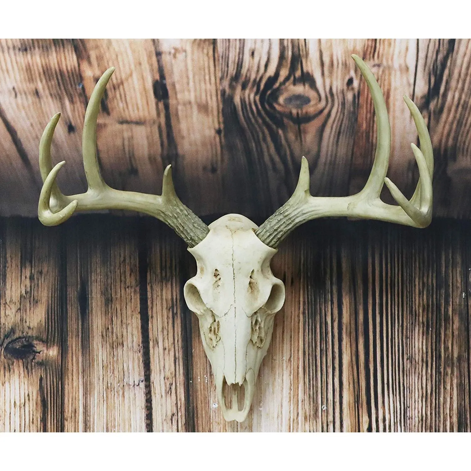 Ebros Rustic Hunter Rack Deer Skull Antler Wall Plaque Decor 10 Point Buck Figurine