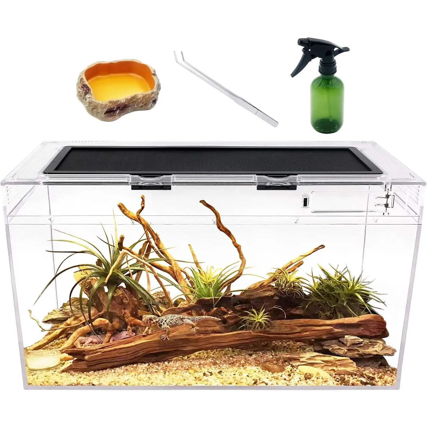 Terrarium,10 Gallon  Tank 20" x 10"x 11",for ,Fish,Tarantula,Hermit Crab,Jumping Spider,Iguana,Tortoise,Leopard Gecko,Frog,Bearded Dragon