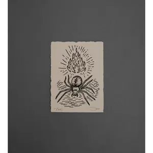 Study Spider  - High-Quality Print