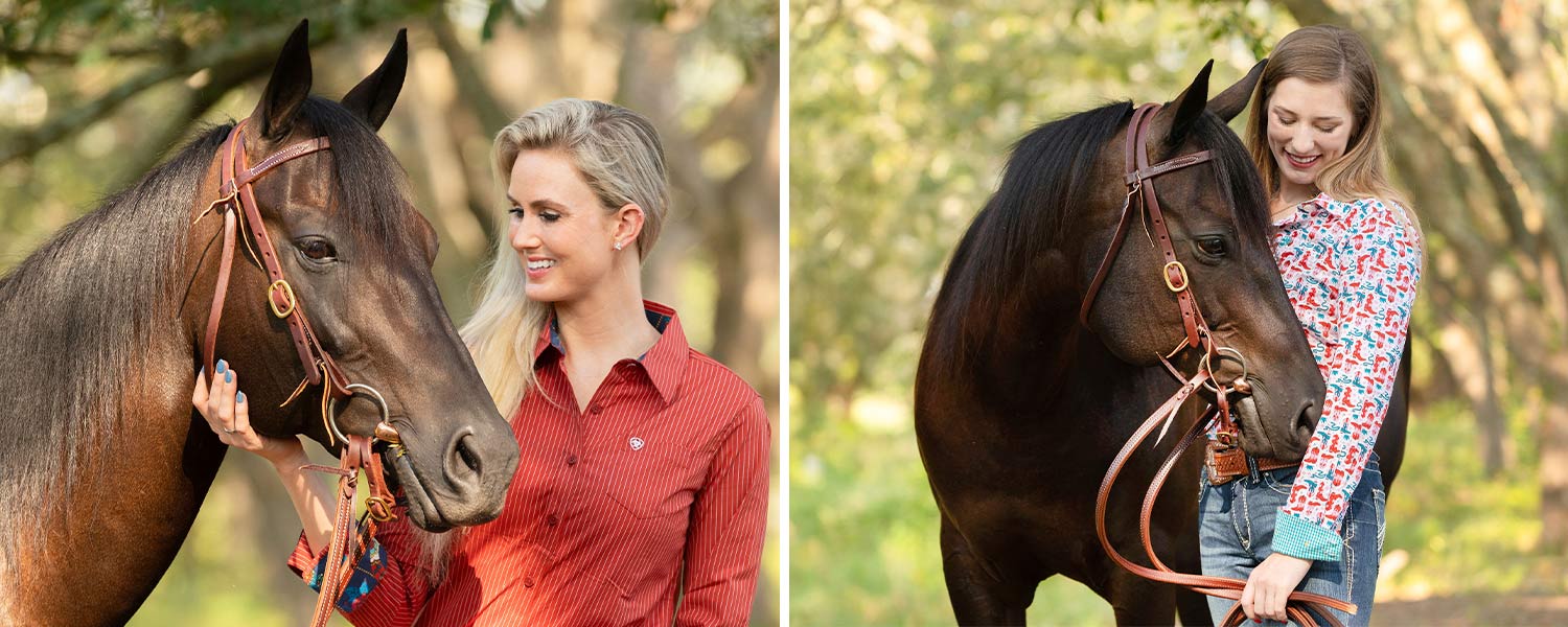 Jeffers Poplar Head Saddlery Oiled Harness Leather Browband Headstall with Waterloop Ends