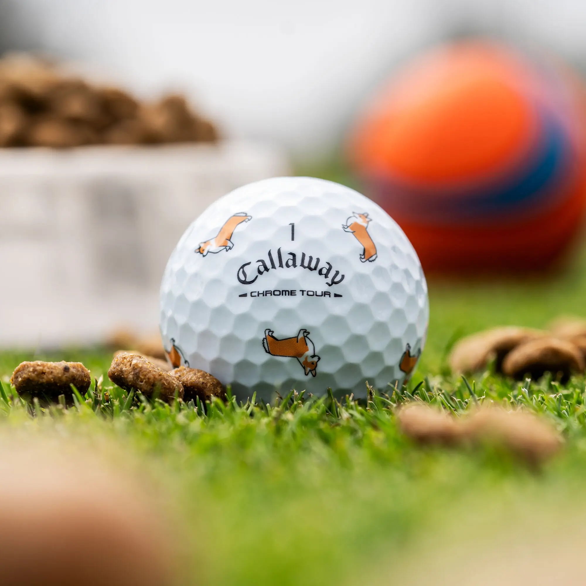 Callaway Golf Chrome Tour Corgi Dog Golf Balls in White