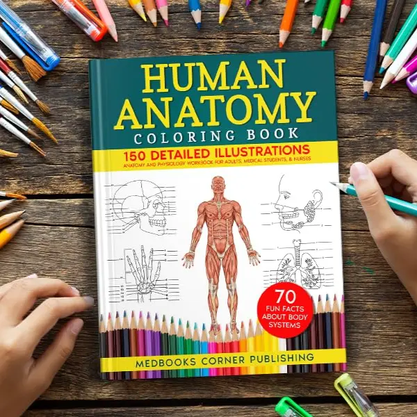 Human Anatomy Coloring Book - English Activity Book for Adults & Medical Students, 8.5x0.32x11in, 150 HD Detailed Illustrations, 70 Fascinating Facts, 142 Pages, Nurses-Focused Advanced Body Systems Tool to Enhance Learning, Boost Confidence, Perfect Gift