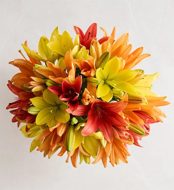 1800 Flowers - 24 Stem Kaleidoscope Roses Bouquet Only, Fresh Flowers
