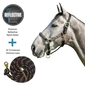 Bundle: Reflective Nylon Halter & 10' Clinician Lead