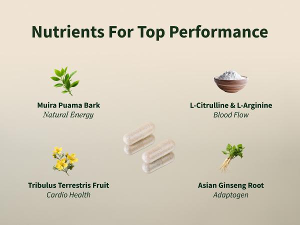 2 Pack - Snap Supplements - Nitric Oxide Booster - Support Healthy Blood Circulation - Nitric Oxide Supplement for Men and Women - 3rd party tested - 60 Count