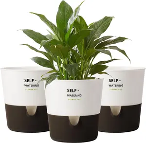 Bamworld 2 Packs Self-Watering Plant Pots for Indoor Plants 16.5cm Modern Flower Planters with Drainage Holes  Ideal for Bedroom Office Home Decor tiktokshopspringglowup