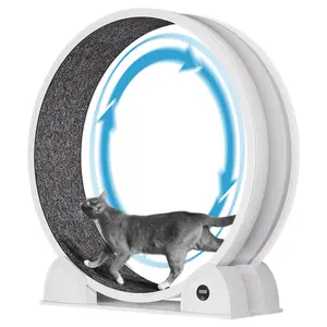 XL Cat Wheel 103 cm with Pedometer and Scratching Board - Super Quiet Balance Bike for Large Cats up to 12 kg, Removable Carpet,White