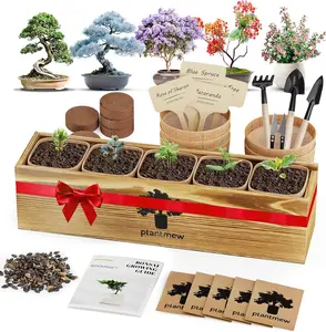 Bonsai Tree Kit for Beginners - 5 Unique Japanese Bonsai Seeds, DIY Indoor Gardening Crafts for Adults | Valentine's, Mother's Day & Birthday Gifts for Women and Men | Complete Starter Kit with Tools