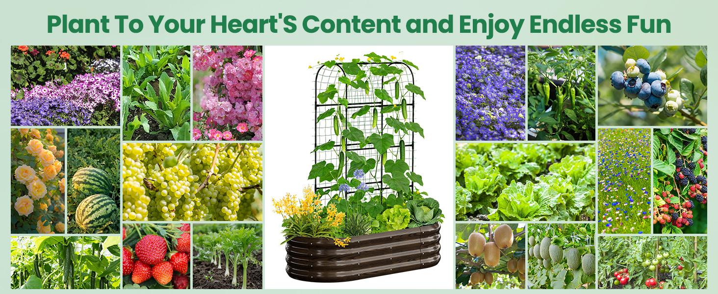 Lilypelle 2-in-1 Galvanized Raised Garden Bed with 71" Arch Trellis for Climbing Plants – Outdoor Planter Box for Flowers, Vegetables, Fruits, Herbs Lilypelle 2-in-1 Galvanized Raised Garden Bed with 71" Arch Trellis for Climbing Plants – Outdoor Planter Box for Flowers, Vegetables, Fruits, Herbs