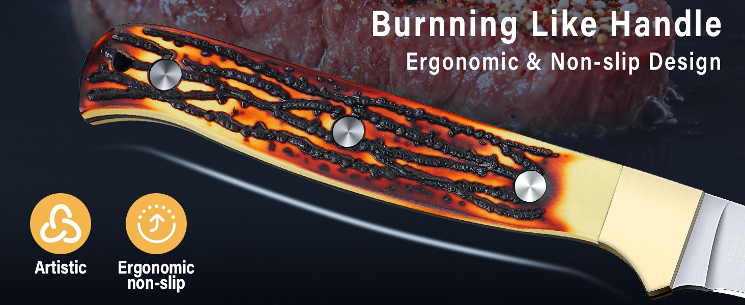 DRAGON RIOT 9 inch Professional Boning Knife for Filleting Fish Christmas Gift  with Ergonomic Handle for Meat Poultry Cutting Indoor or Outdoor