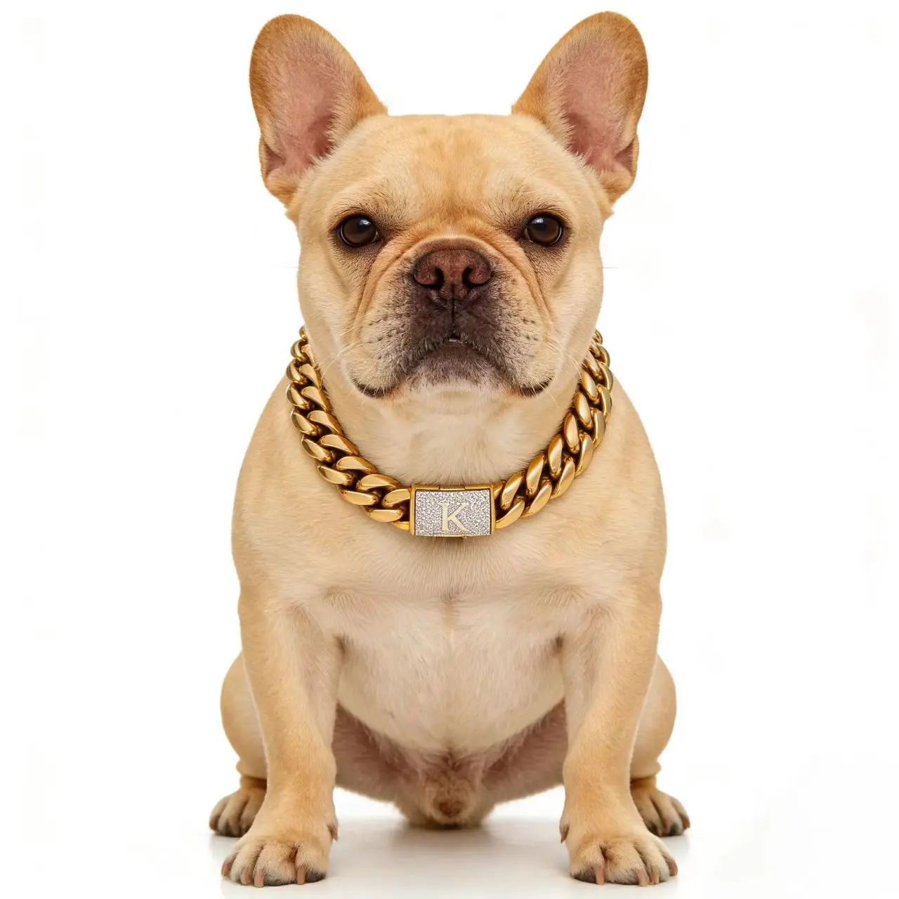 【G1】18K Gold Cuban Link Dog Collar with A–Z Zircon Letter, 14MM Heavy Duty Chew-Proof Stainless Steel Chain Collar for Small Medium Large Dogs Personalized dog accessories dog collars