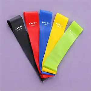 5 Counts/set Mini Loop Resistance Band Set with Storage Bag, Portable Exercise Band, Home Gym Exercise Stretching Training Equipment, Gymtok, Gym Accessories, Home Gym Kit-DBY