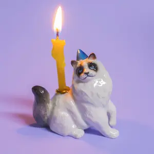 Ragdoll Cat Cake Topper  | ️ Camp Hollow Porcelain Party Animal Candle Holder | Birthday Party Gift | Curious Cat