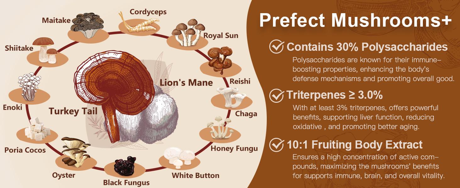 NATURE TARGET Mushroom Supplement, Mushroom Complex with Lion's Mane, Turkey Tail, Reishi, Cordyceps, Shiitake, 14-in-1 Mushrooms for Memory and Focus, 120 Capsules
