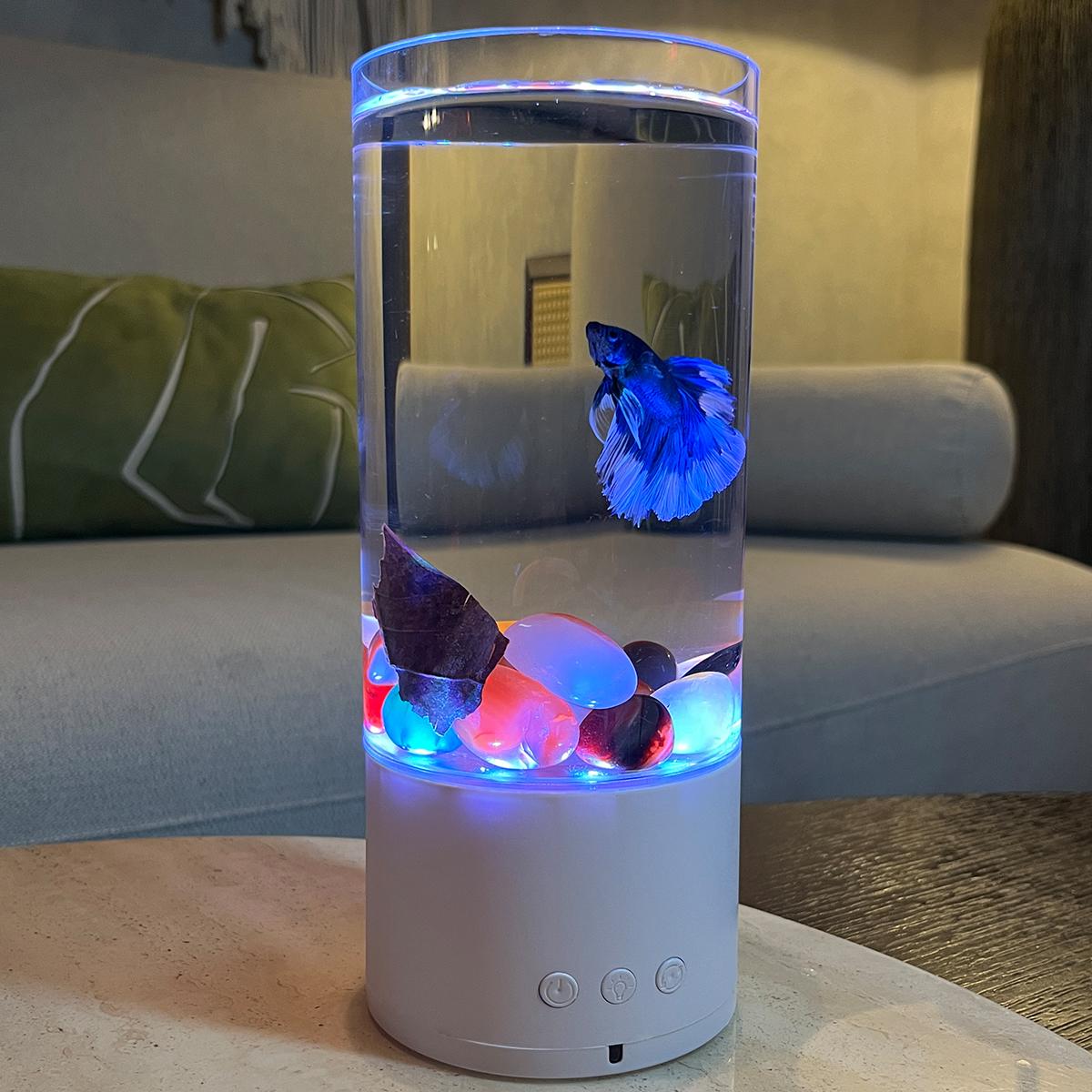 【FaddishDeal】Upgraded Rotating Lighting Hydroponic Vase, Movie Decorative Water Lamp, Desktop Decorative Arrangement, Birthday and Halloween Decorations and Gifts.