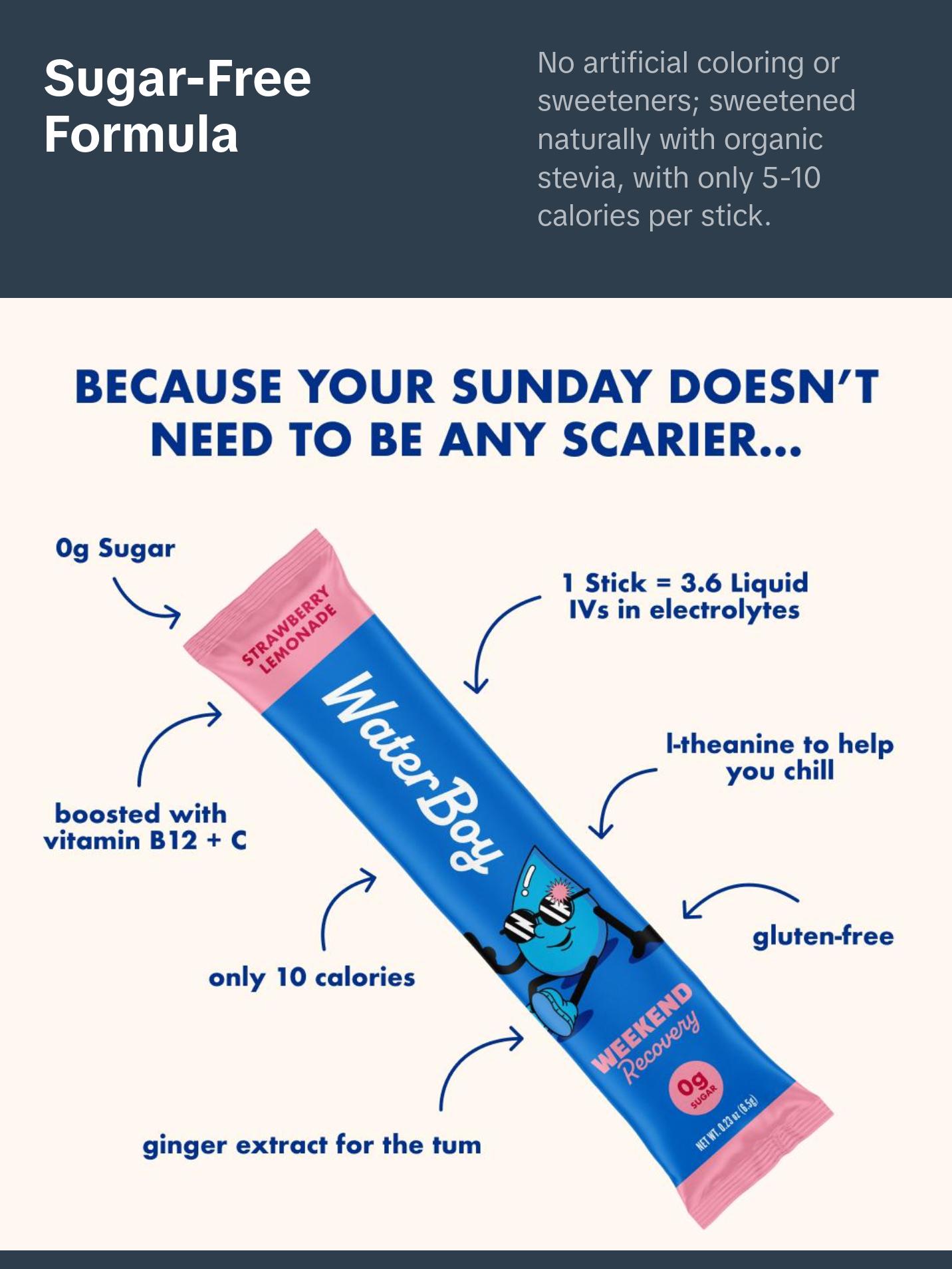 Waterboy Weekend Recovery | 9x Electrolytes & Sugar Free | Plus L-Theanine, Ginger Extract and Vitamins | Salty Flavor