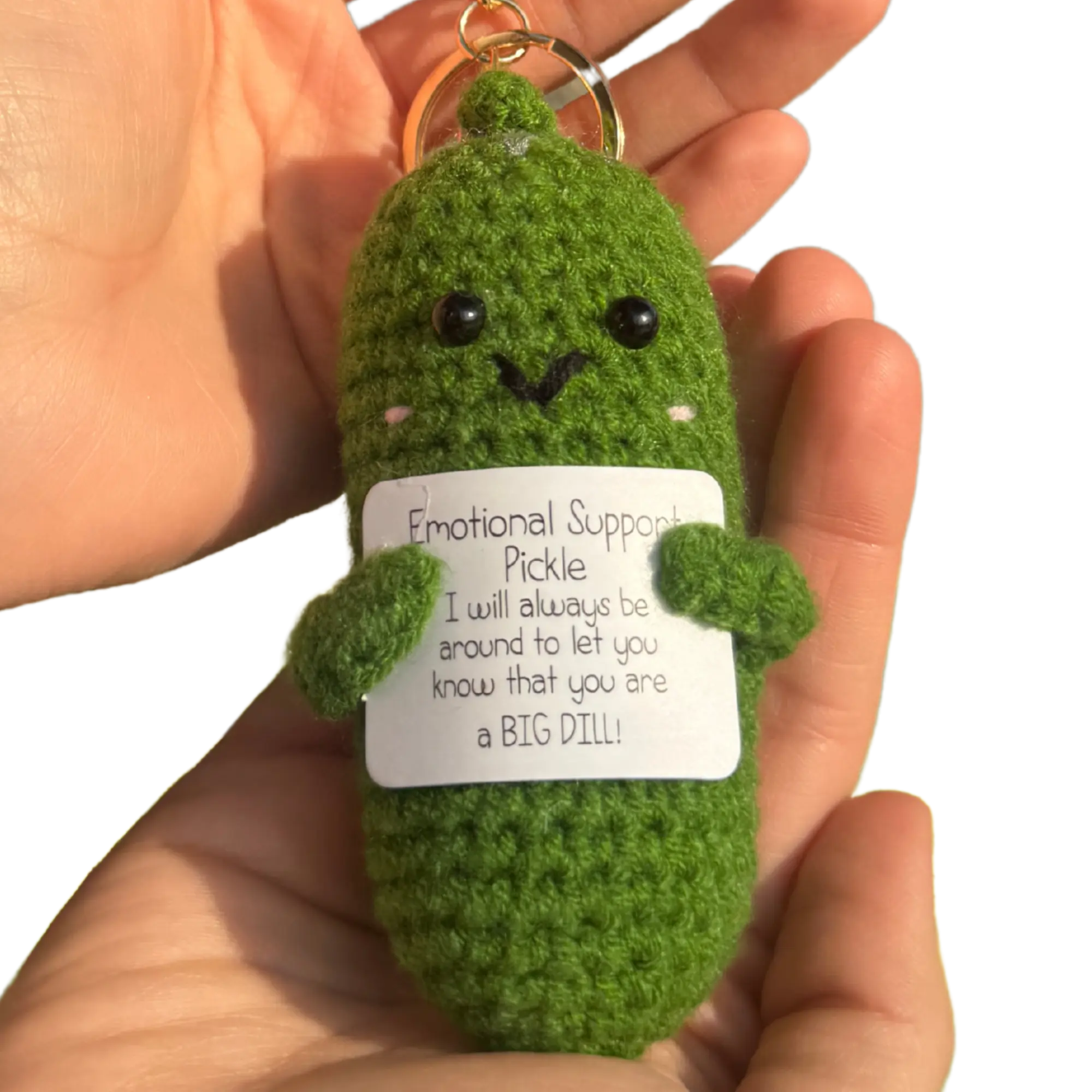 Positive Pickle Keychain! Emotional Support Plushie Keychain!