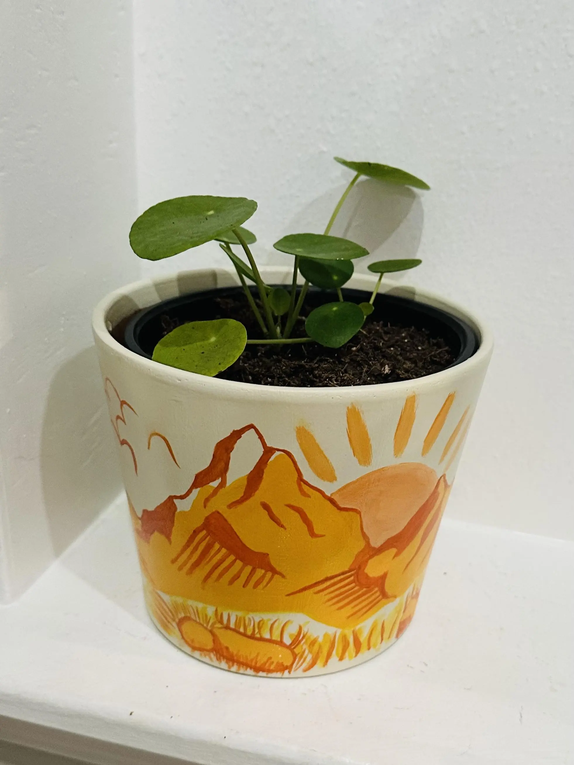 Hand painted Terracotta Planter with Detailed design - Ideal for Enhancing Your Home Decor