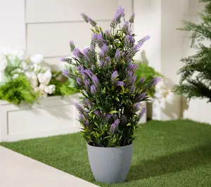Wicker Park 28" Indoor/Outdoor Potted Lavender