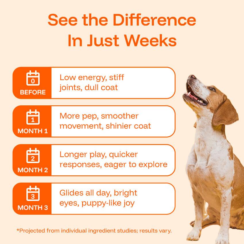 Pawprint Lab Liquid Longevity Supplement for Dogs - Science Backed Protocol Boosts Health Span Energy & Brain Function - 90 Days Money Back Guarantee