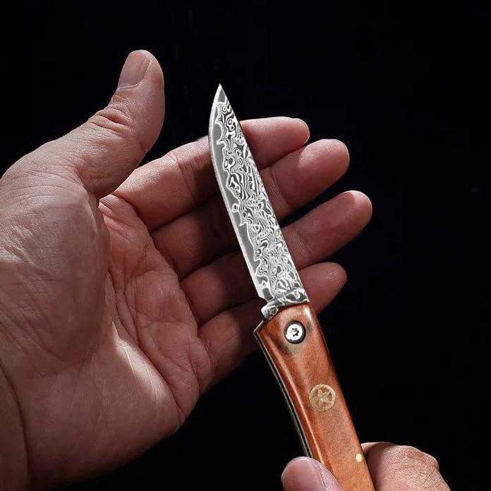 Sharp steak knife Damascus steel blade for cutting meat and fish kitchen knife gift