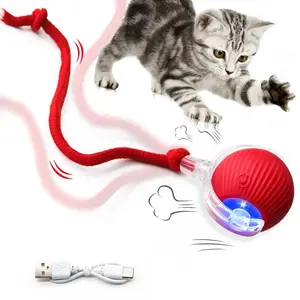 Interactive USB Rechargeable Ball Toy for Cats & Dogs, On-Rug Design with Bird Chirping Sound, Anti-Depression Pet Toy, Fun Gift for Dogs & Cats-Cat & Dog Interactive USB Rechargeable Ball Toy on Rug, Bird Chirping Sound, Anti-Depression